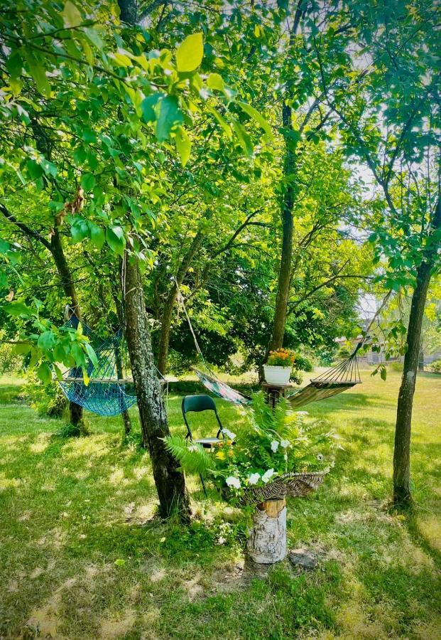 Tuczno Satnatorium Bed & Breakfast エクステリア 写真